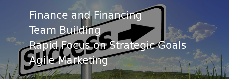 Finance and Financing, Team Building, Rapid Focus on Strategic Goals, Agile Marketing